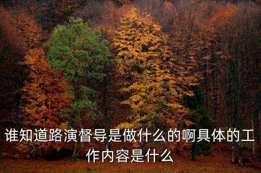 上證路演中心干什么的，誰(shuí)知道路演督導(dǎo)是做什么的啊具體的工作內(nèi)容是什么