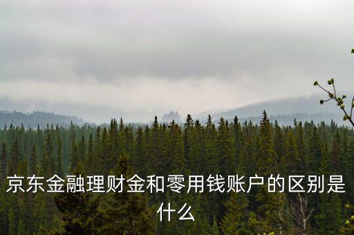京東金融理財(cái)金和零用錢(qián)賬戶(hù)的區(qū)別是什么