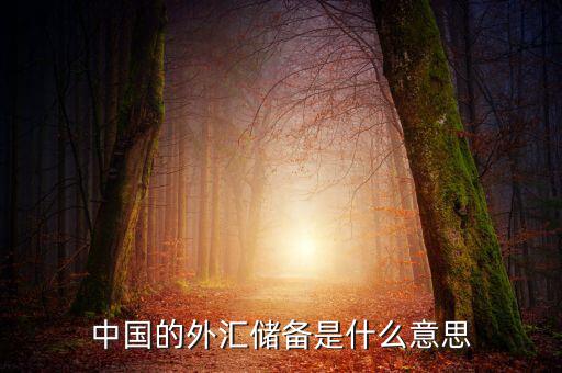 中國外匯儲備包括什么，我國外匯儲備