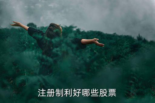 什么股票注冊制，IPO注冊制是什么意思