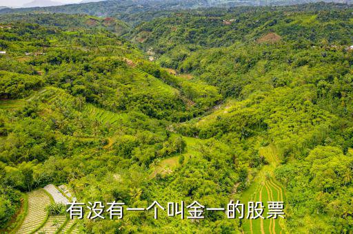 金一文化為什么停牌，金一文化什么時(shí)候復(fù)牌