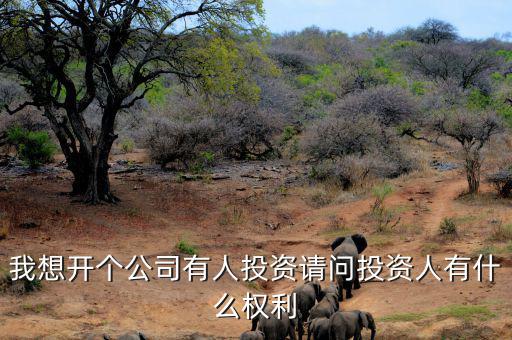 投資人最核心的優(yōu)先權(quán)是什么，投資人最關(guān)心哪三大核心問題
