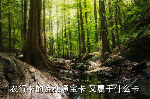 農(nóng)行叫號Q字頭是什么卡，農(nóng)行卡叫什么卡