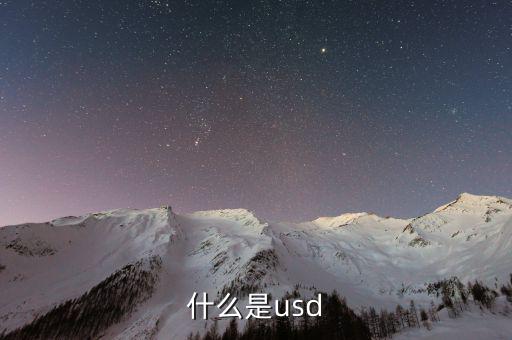 usd是什么，usd是什么貨幣