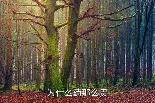 為什么藥價那么貴，醫(yī)藥費為什么那么貴