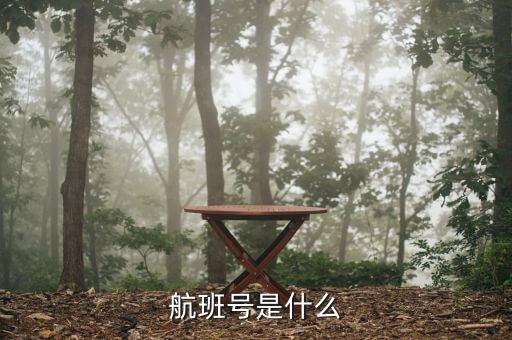 航班號ms什么，MS是什么航空