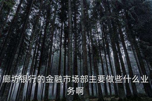 齊飛金融主營什么業(yè)務，堅固金融都有什么業(yè)務實力怎么樣