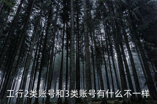 工行2類(lèi)賬號(hào)和3類(lèi)賬號(hào)有什么不一樣