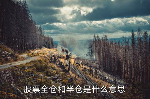 股票全倉(cāng)是什么意思，股票全倉(cāng)和半倉(cāng)是什么意思