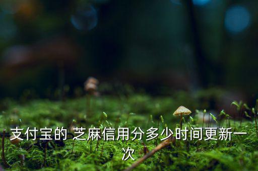 芝麻信用分什么時(shí)候更新，支付寶的 芝麻信用分多少時(shí)間更新一次