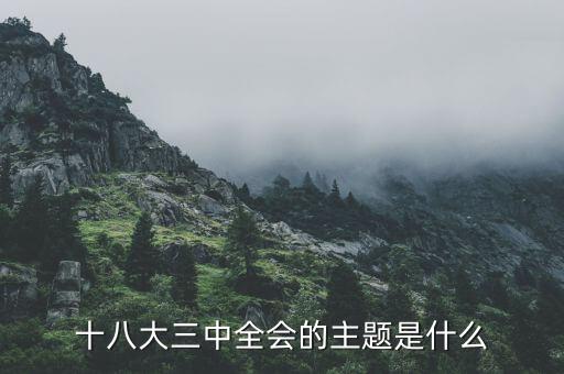 中全會講什么，七屆二中全會的主要內(nèi)容是什么啊