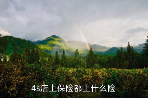 4s店買車都保什么險(xiǎn)，誰(shuí)能告訴我在4s店買的四大險(xiǎn)都包括哪些
