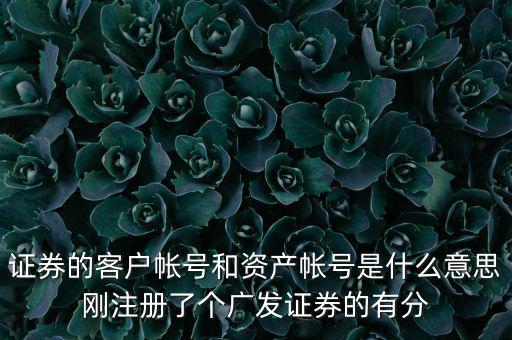 申萬宏源資產(chǎn)賬號是什么，我知道瀘A股東的賬號怎么查資金賬號申萬宏源