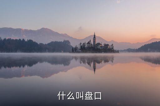 大盤口什么意思，大盤中的盤口是什么意思啊