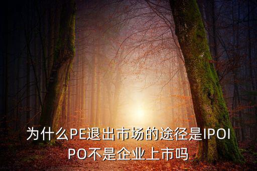 pe為什么要退出，為什么PE退出市場(chǎng)的途徑是IPOIPO不是企業(yè)上市嗎