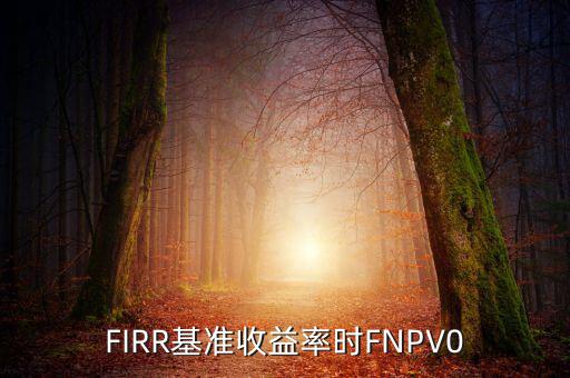 收益率什么時候為正，F(xiàn)IRR基準(zhǔn)收益率時FNPV0