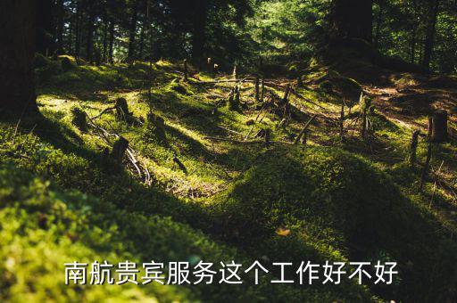  南航貴賓服務這個工作好不好