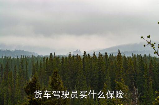 貨車司機(jī)買什么保險(xiǎn)好，大貨車買什么保險(xiǎn)最好