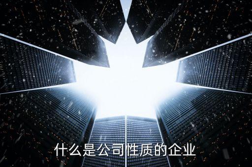 中期集團是什么性質(zhì)的企業(yè)，集團是什么性質(zhì)的公司