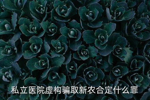 私立醫(yī)院騙國家醫(yī)保上千萬什么罪，私立醫(yī)院虛構(gòu)騙取新農(nóng)合定什么罪