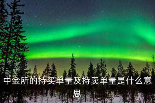 持買(mǎi)單量是什么意思，持賣單什么意思