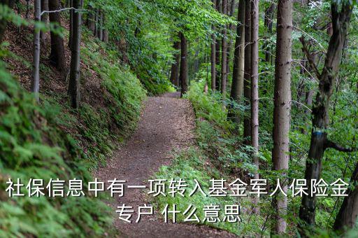 什么是社保轉入基金，請問一下社保綜合中轉入基金是什么呢不明白里面的基金是怎么回事