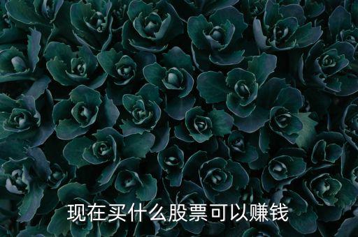 今年買什么股票可以賺錢，現(xiàn)在買什么股票可以賺錢