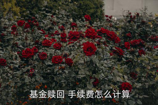 基金賣出手續(xù)費(fèi)怎么算,基金理財(cái)知識點(diǎn)（16）