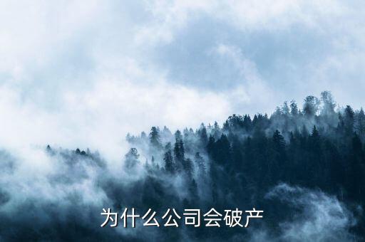 凱銀集團為什么破產(chǎn)了，公司破產(chǎn)的原因是什么