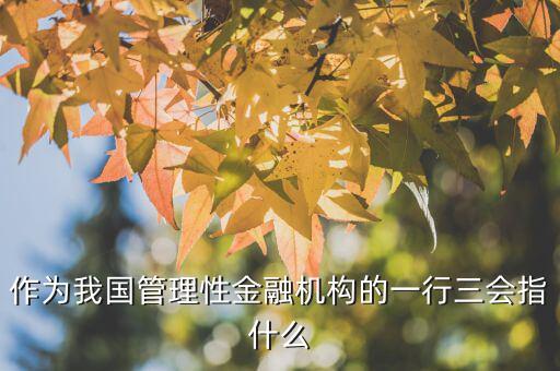 一行三會一局是指什么，作為我國管理性金融機構的一行三會指什么