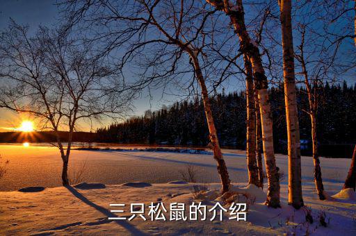 三只松鼠都做了什么，三只松鼠的銷售模式
