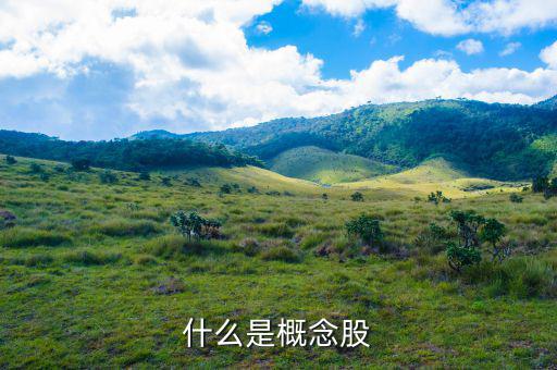 什么叫概念股，什么是概念股