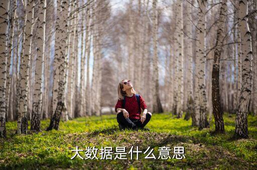 大數(shù)據(jù)什么意思，簡述什么是大數(shù)據(jù)