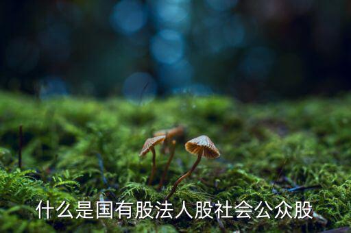 什么情況叫公眾持股，股份制上市企業(yè)誰(shuí)能幫我解釋一下它是公企還是私企