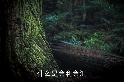 外匯套利是什么意思，什么是外匯期貨套利交易