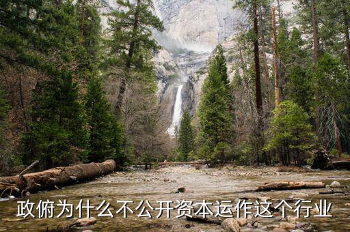 資本運(yùn)作為什么不公開，政俯為什么不公開資本運(yùn)作這個(gè)行業(yè)