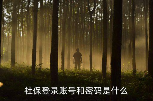 社保查詢個人賬戶密碼是什么，社保登錄賬號和密碼是什么