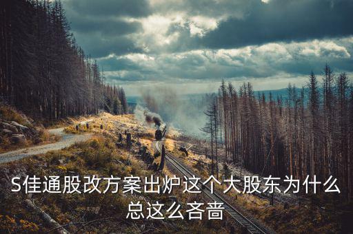s佳通為什么不股改，s佳通的流通股這么少為什么不股改全流通