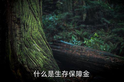 什么是生存保險金，什么是生存保障金