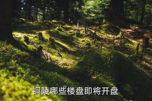 銅陵未來有什么大項(xiàng)目，未來銅陵會(huì)有六條鐵路嗎