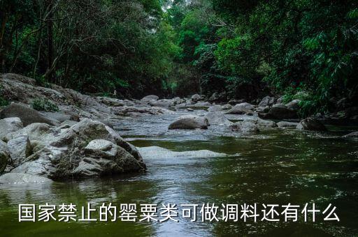 國家違禁香料有什么，國家禁止的罌粟類可做調(diào)料還有什么