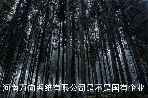 萬向集團是什么企業(yè)，萬向集團公司是哪一家公司設(shè)計的