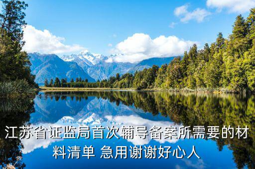 輔導(dǎo)備案登記受理是什么階段，我想問一下辦一般納稅人申請后我們的輔導(dǎo)期是當(dāng)月 15小