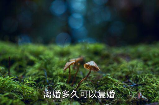 離婚多久可以復婚