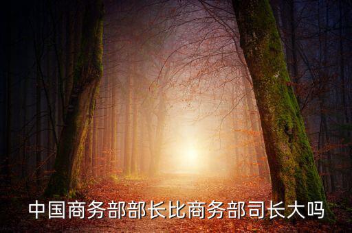 商務(wù)部部長什么級別，商務(wù)部部長多大的官