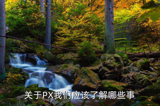 px項目是干什么的，關于PX我們應該了解哪些事