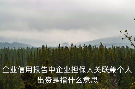 擔(dān)保人關(guān)聯(lián)是什么意思，企業(yè)征信中 擔(dān)保人關(guān)聯(lián)是什么意思