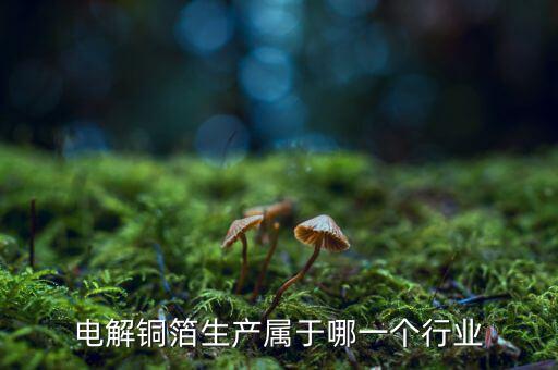 電子銅箔屬于什么行業(yè)，電解銅箔生產(chǎn)屬于哪一個行業(yè)
