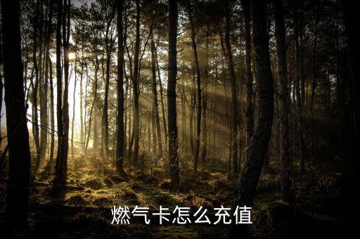 長(zhǎng)春燃?xì)鈏c卡費(fèi)怎么交,長(zhǎng)春燃?xì)庠诰€(xiàn)充值繳費(fèi)網(wǎng)點(diǎn)有三個(gè)