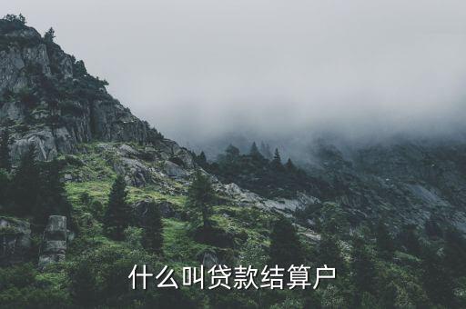 什么是有貸戶，什么叫居民戶貸款